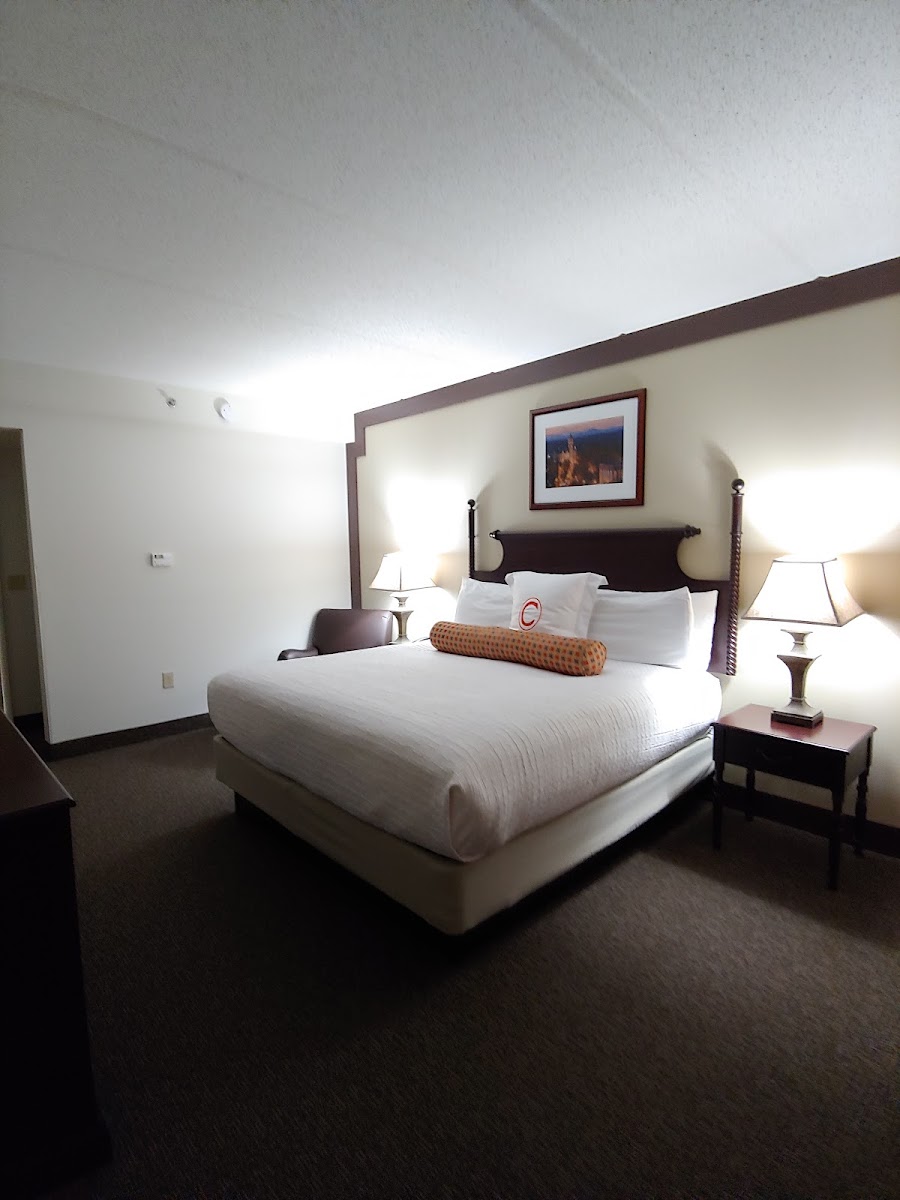 Room 7