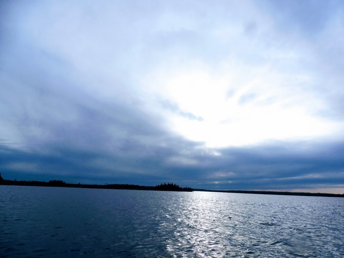 Savanne River Resort photo 3