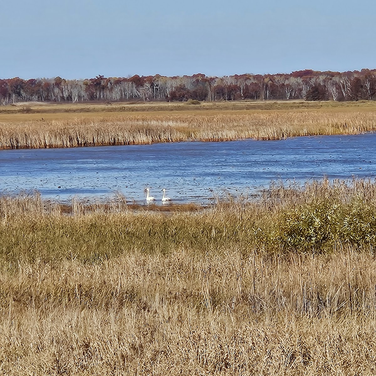 Crex Meadows State Wildlife Area