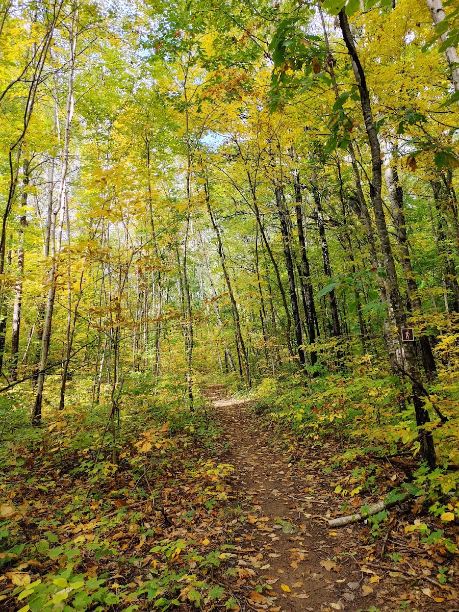 Straight Lake State Park