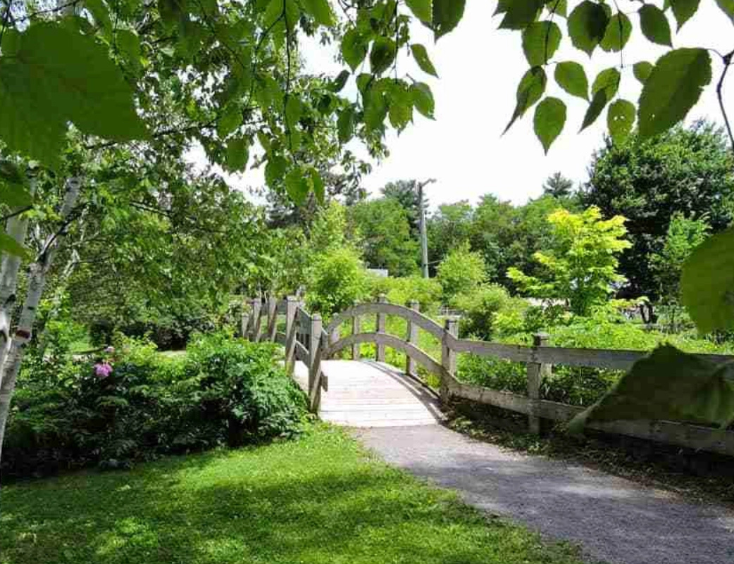Odell Park