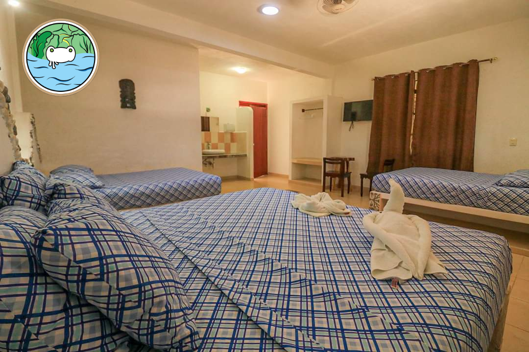 Room 2