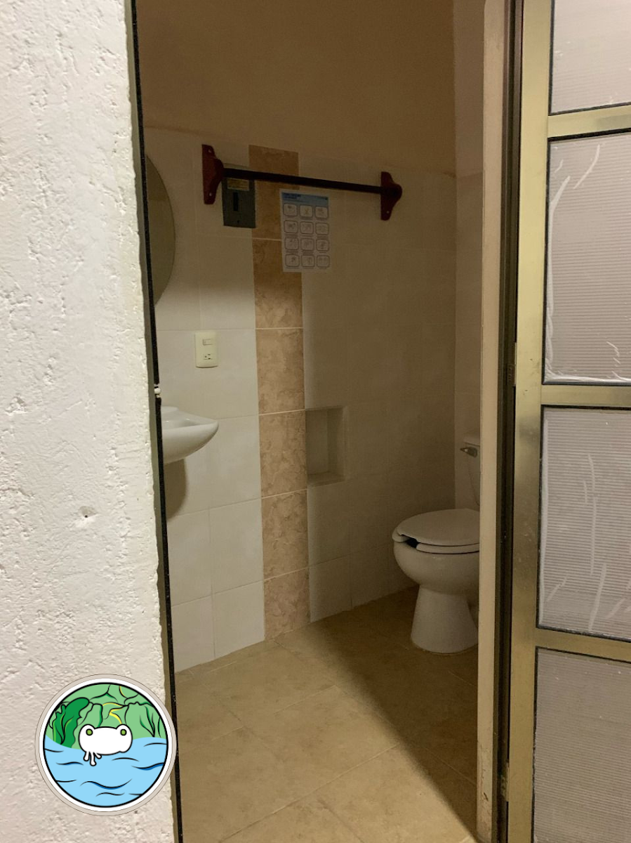 Room 4