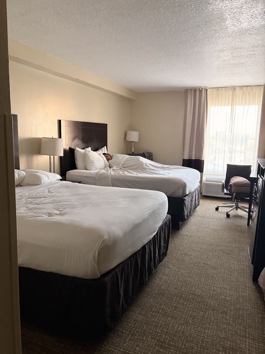 Room 6