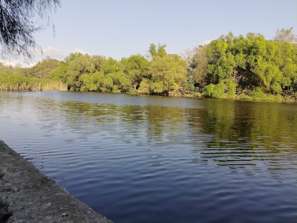 Parque Ecológico de Tepic