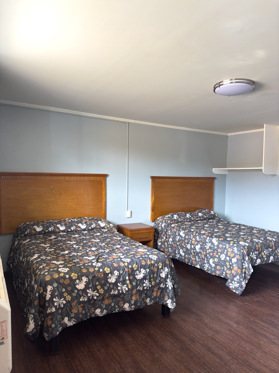 Room 5