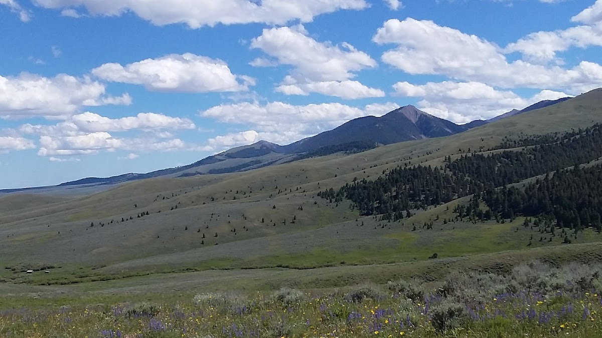 Bannock Pass