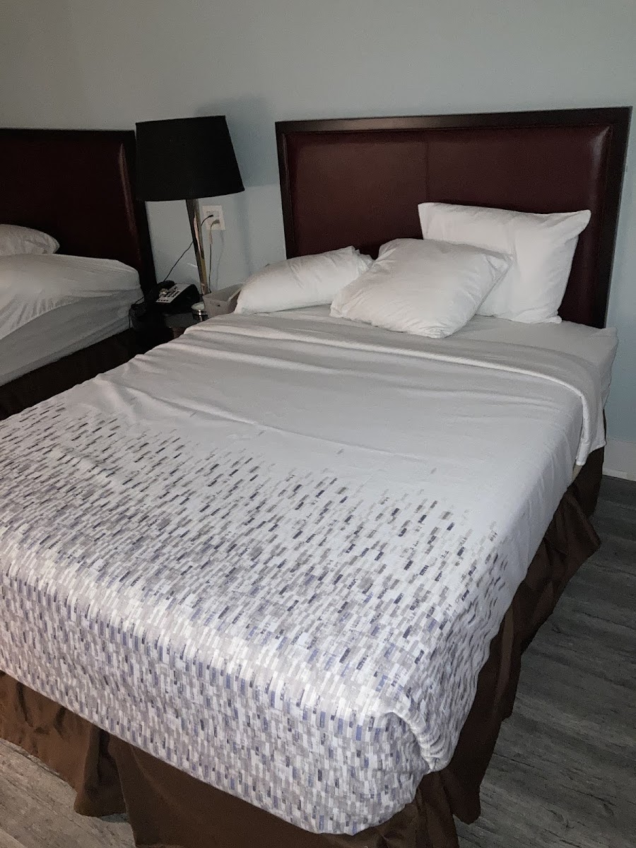 Room 4
