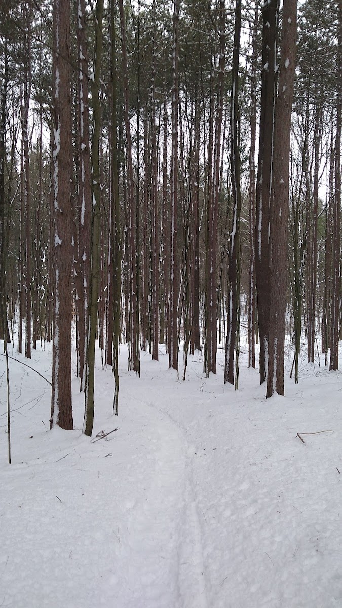 Branstrom Park