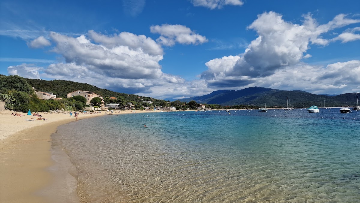 Plage de Porto Pollo