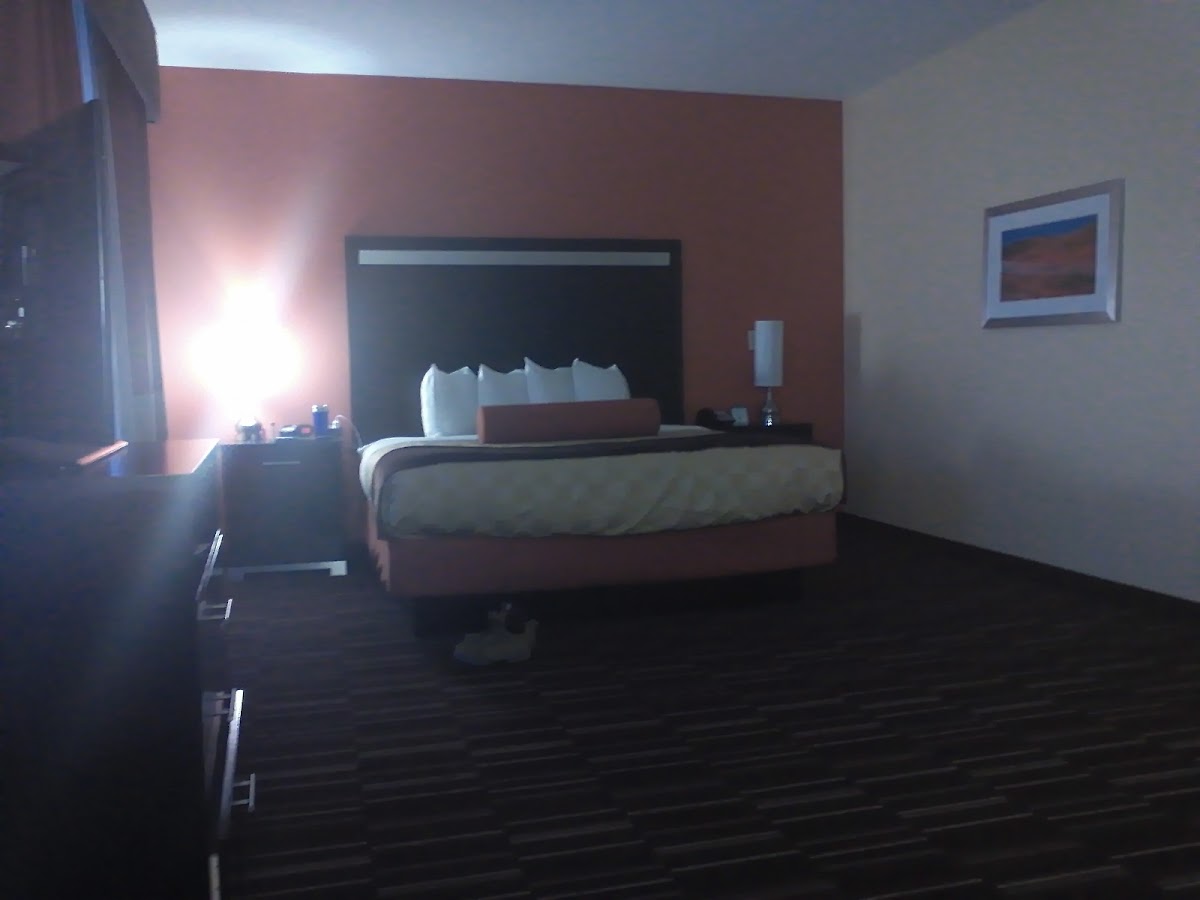 Room 6