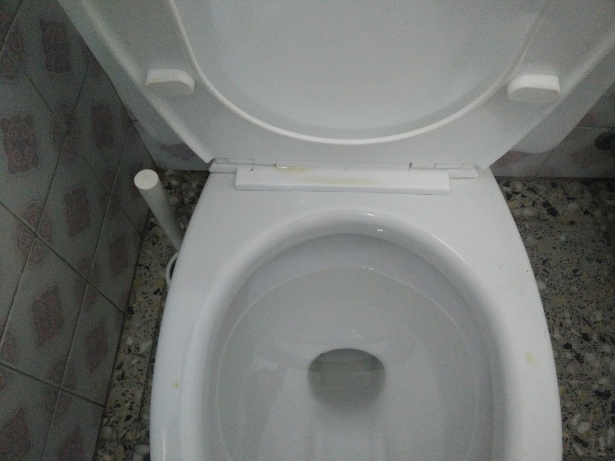 Room 6