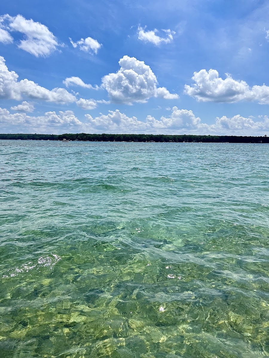 Higgins Lake