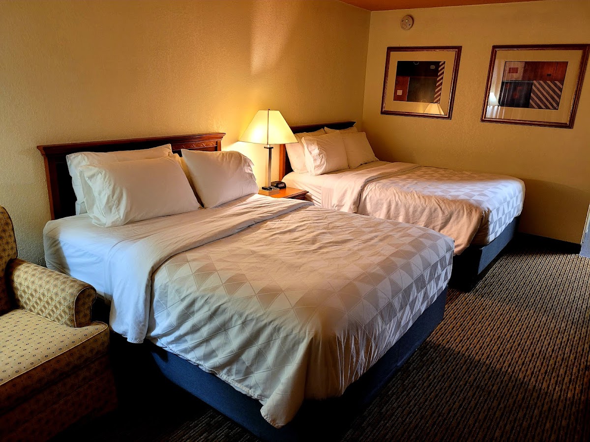 Room 8