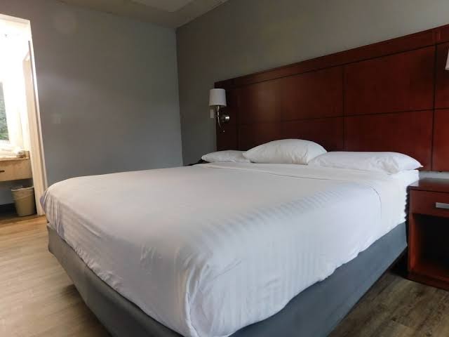 Room 5