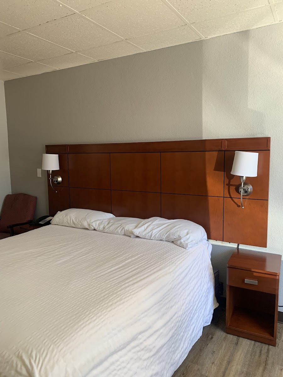 Room 6