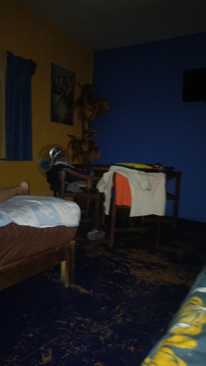 Room 6