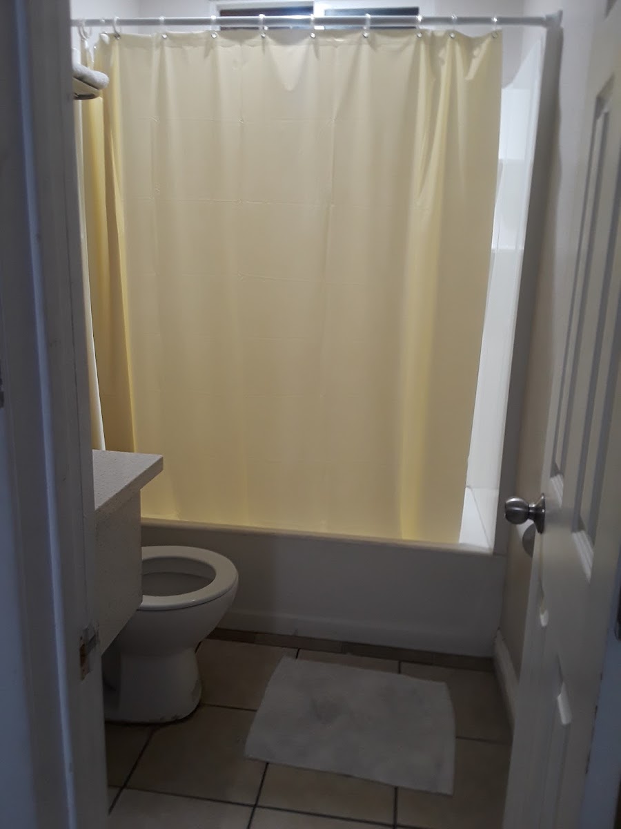 Room 4
