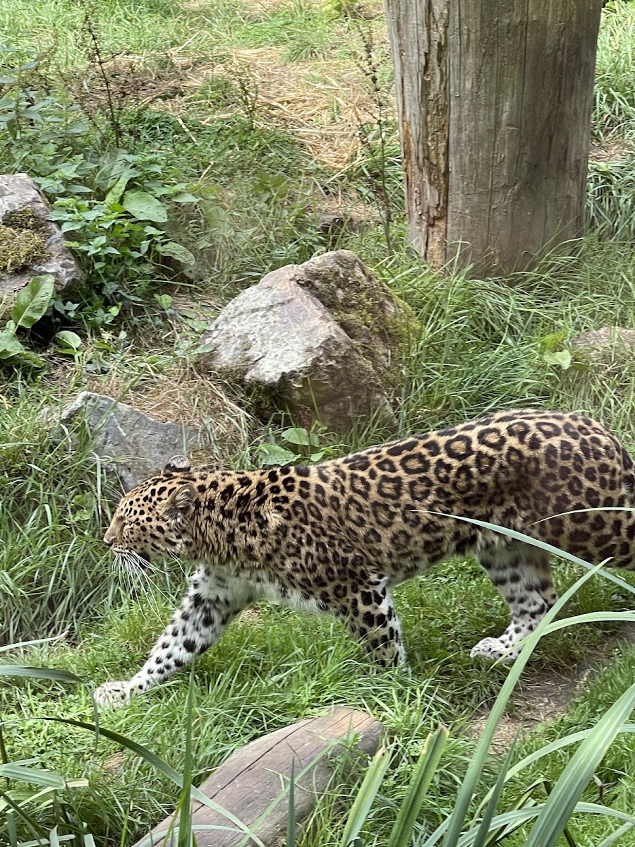 Parc zoologique des Sables d'Olonnes