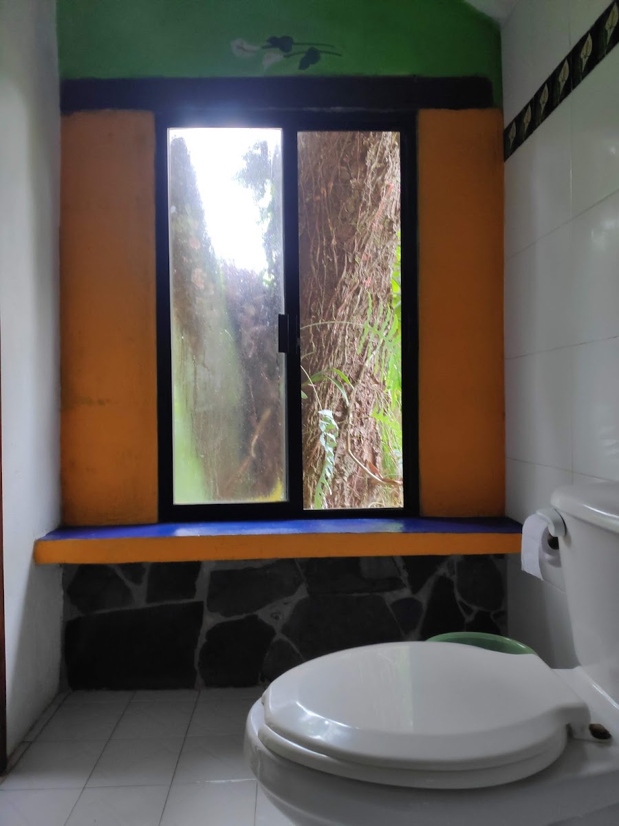 Room 4