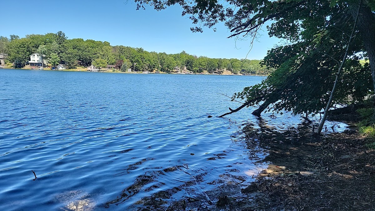 Budd Lake