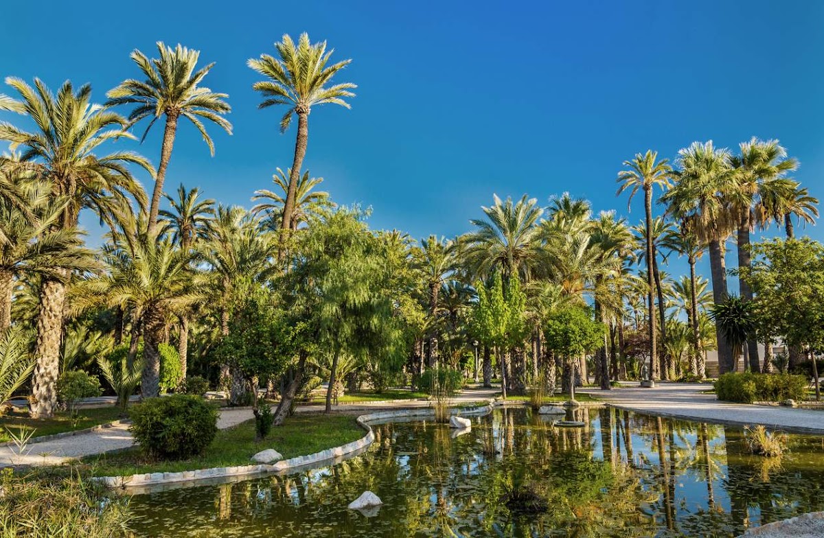 El Palmeral