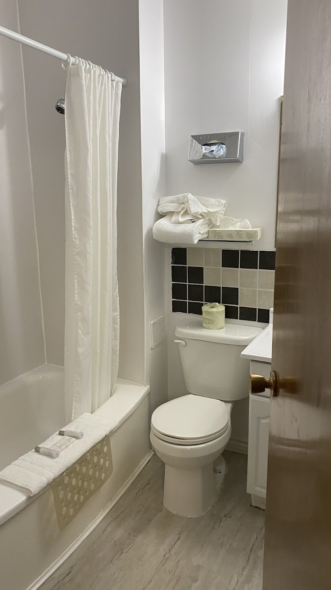 Room 4