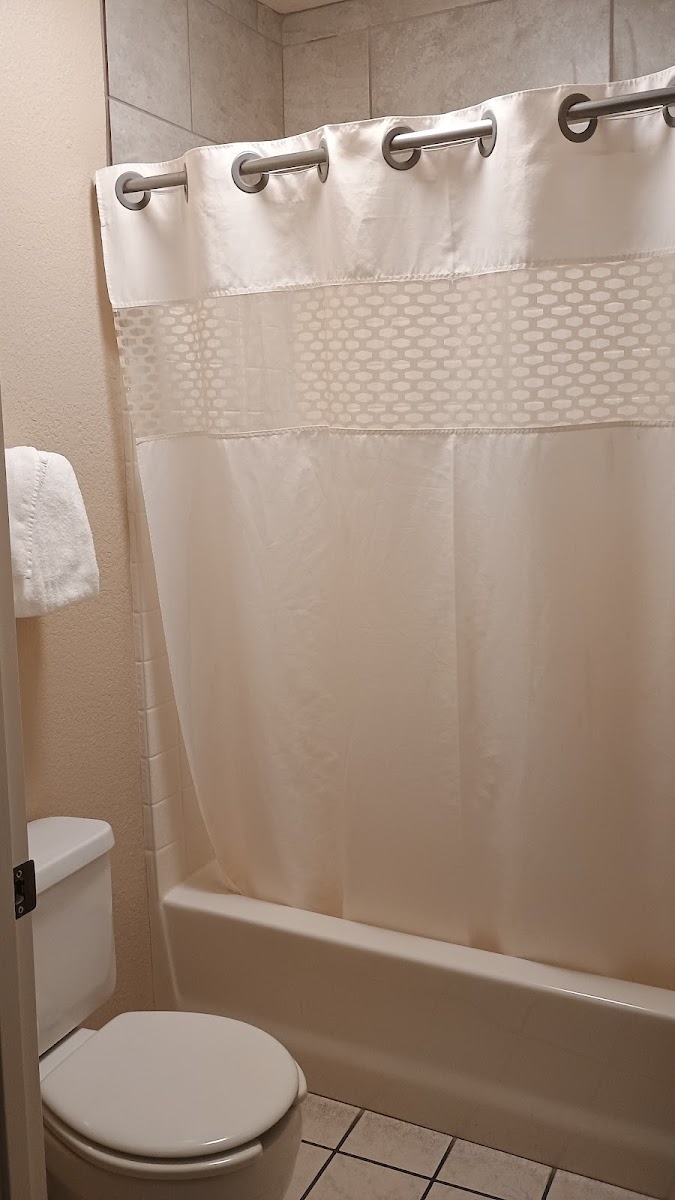 Room 7