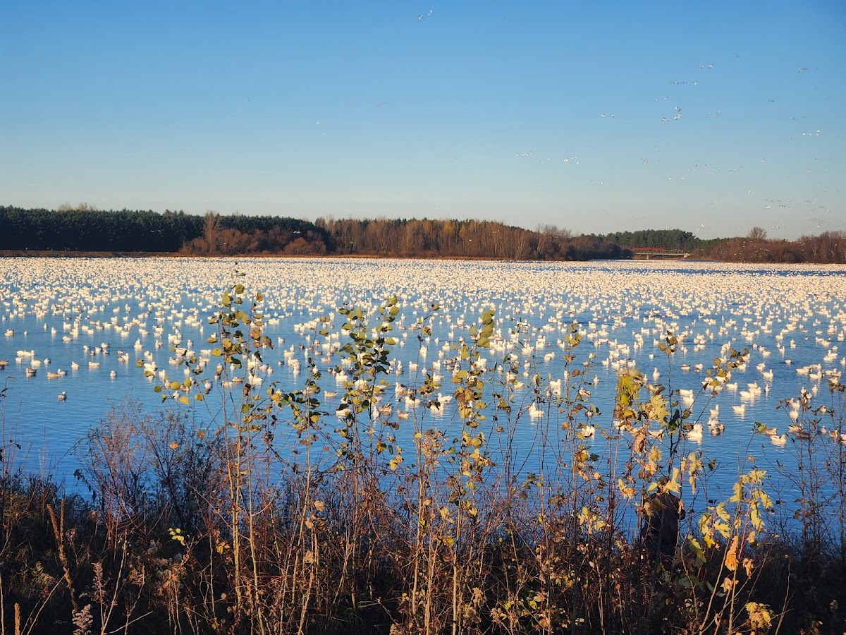 Réservoir Beaudet