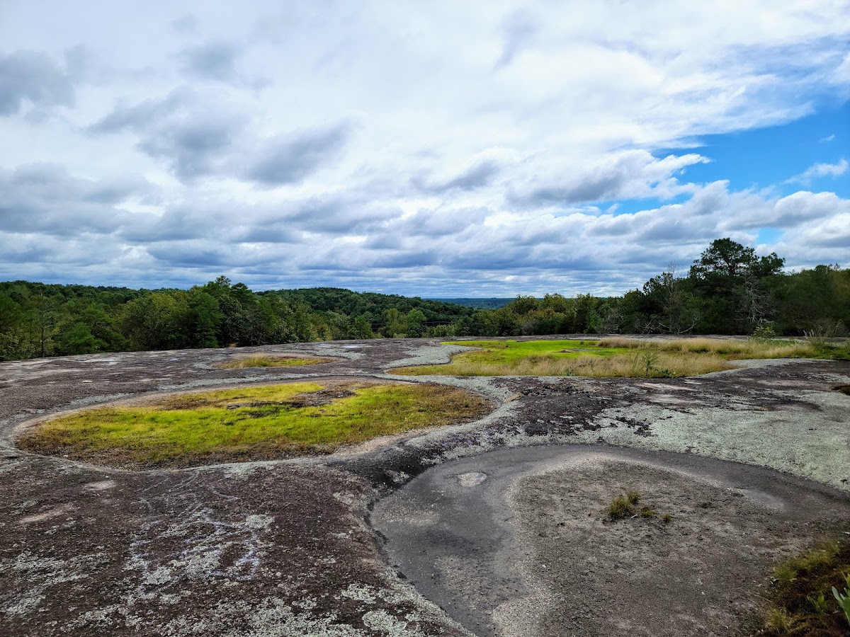 40 Acre Rock Heritage Preserve