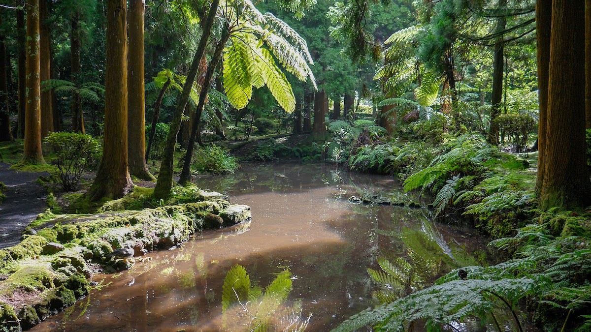 Sete Fontes Forest Park