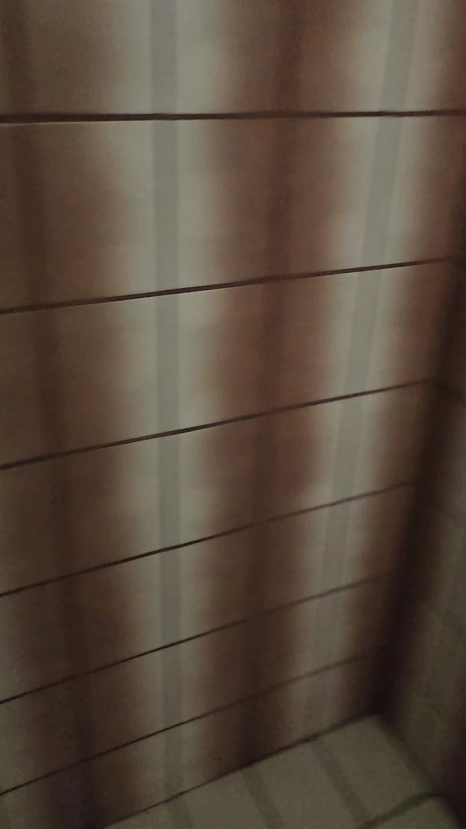 Room 3