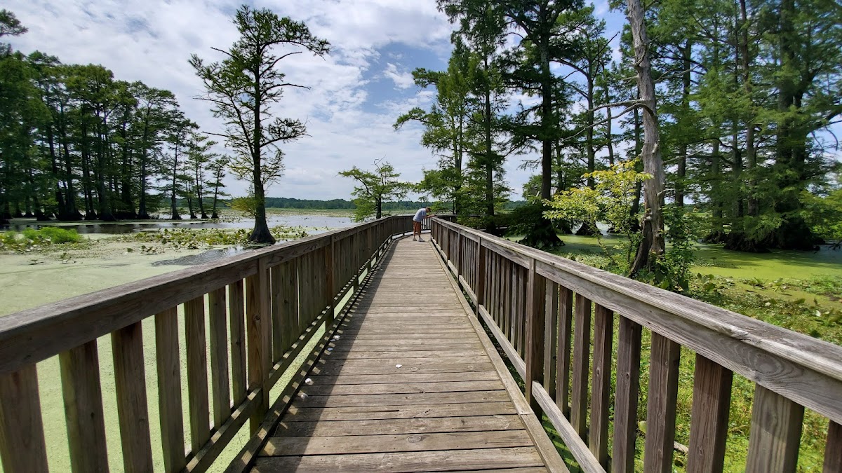 Reelfoot National Wildlife Refuge