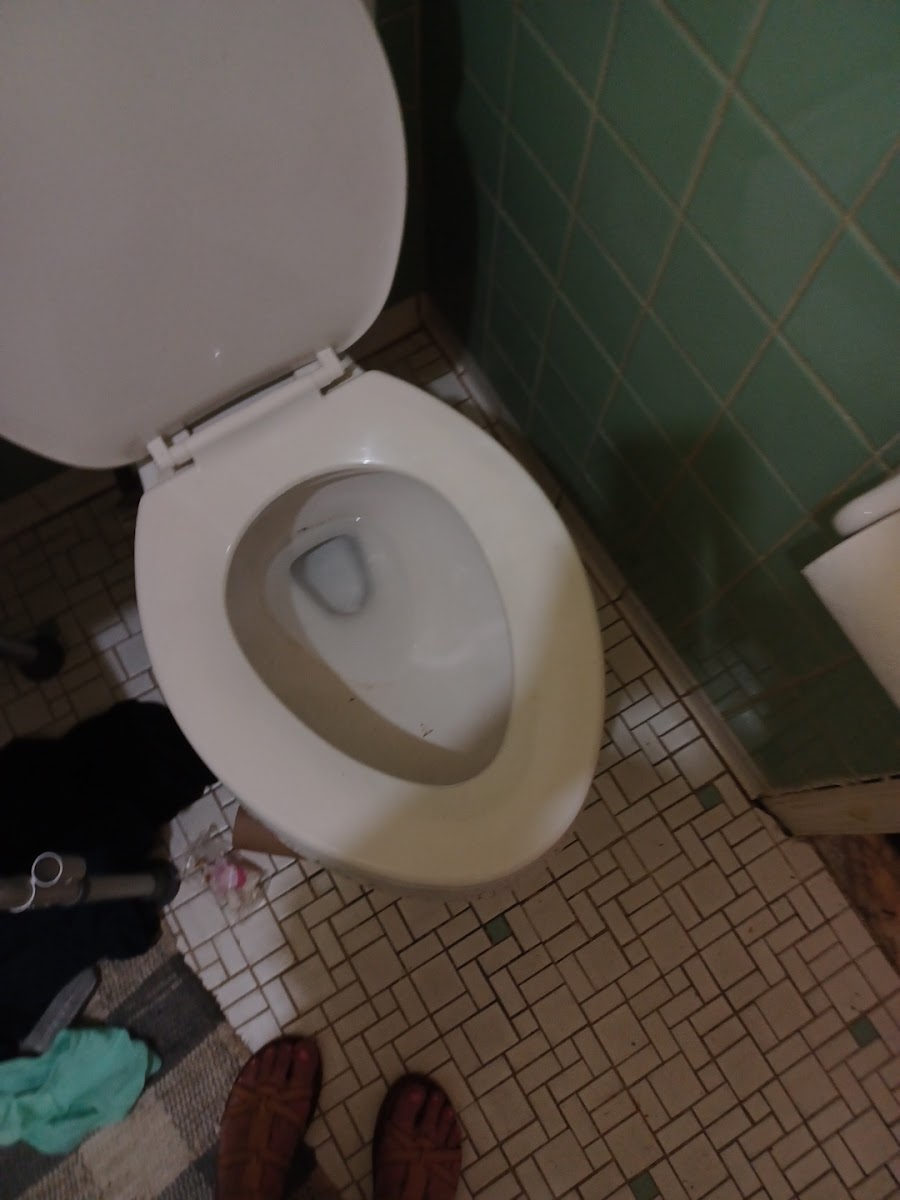 Room 5