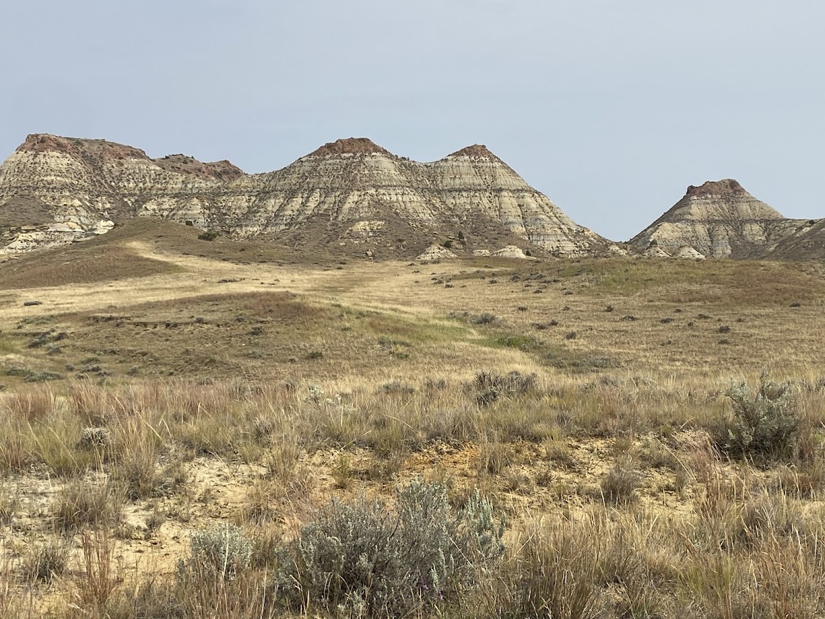 Calypso Trail