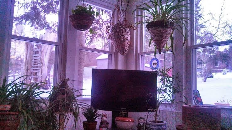Room 2