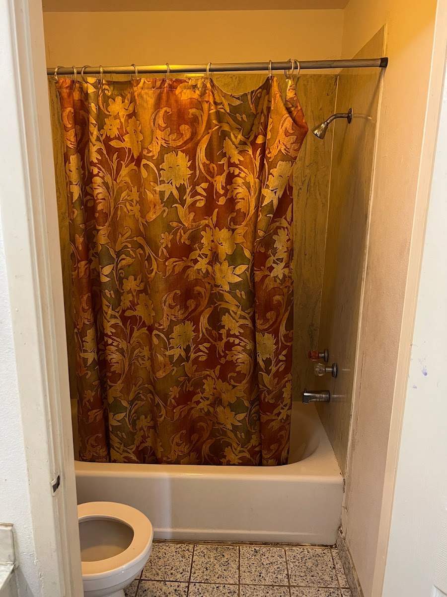 Room 5