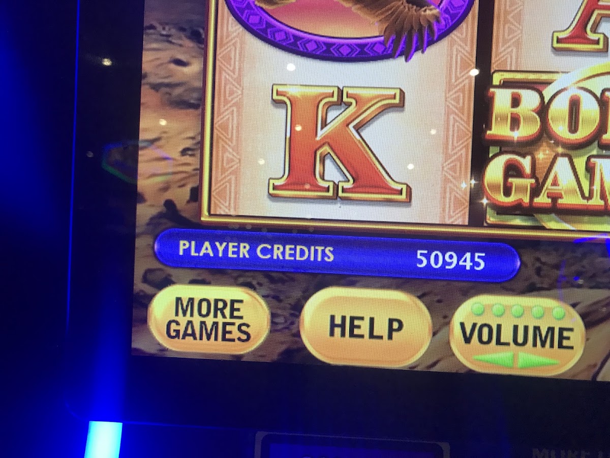 Cash Magic Forest Gold
