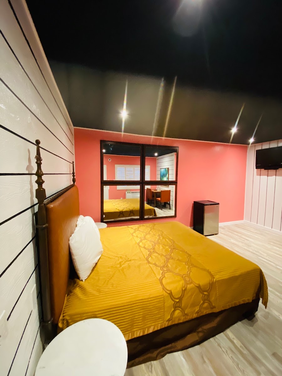 Room 5