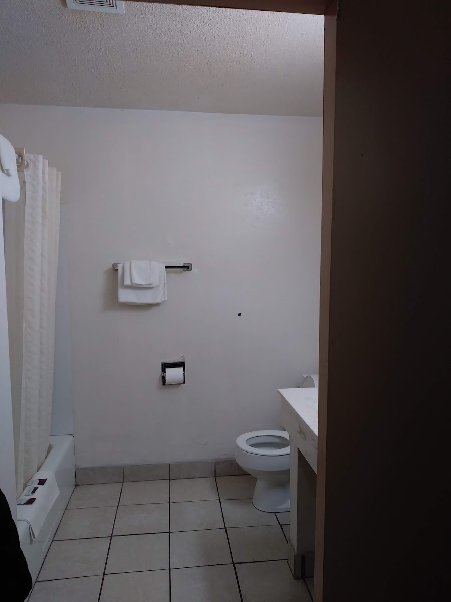 Room 4