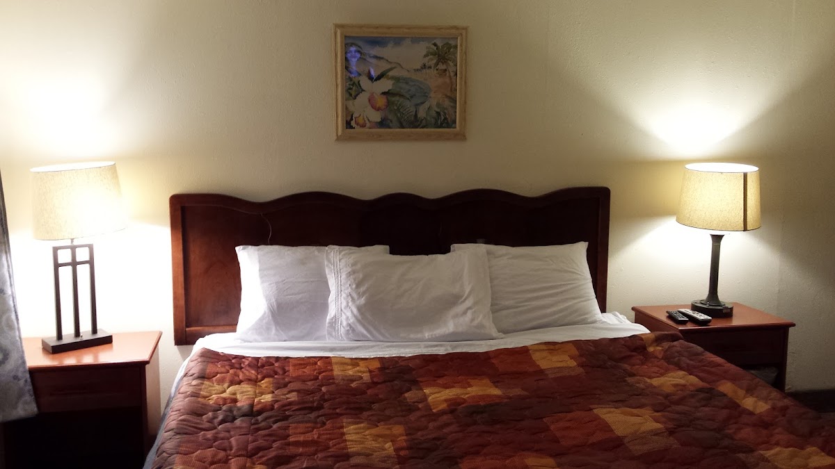 Room 5
