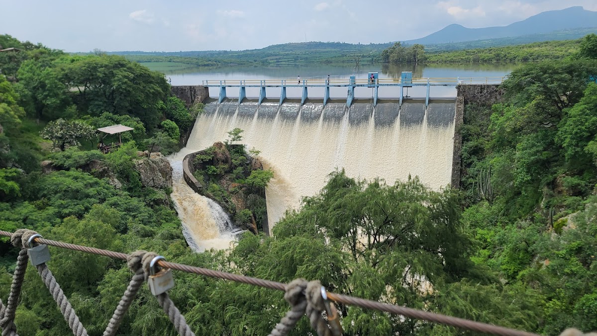 presa el juguete