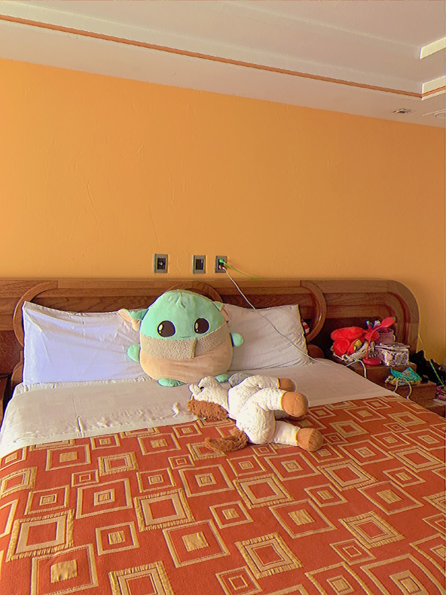 Room 6