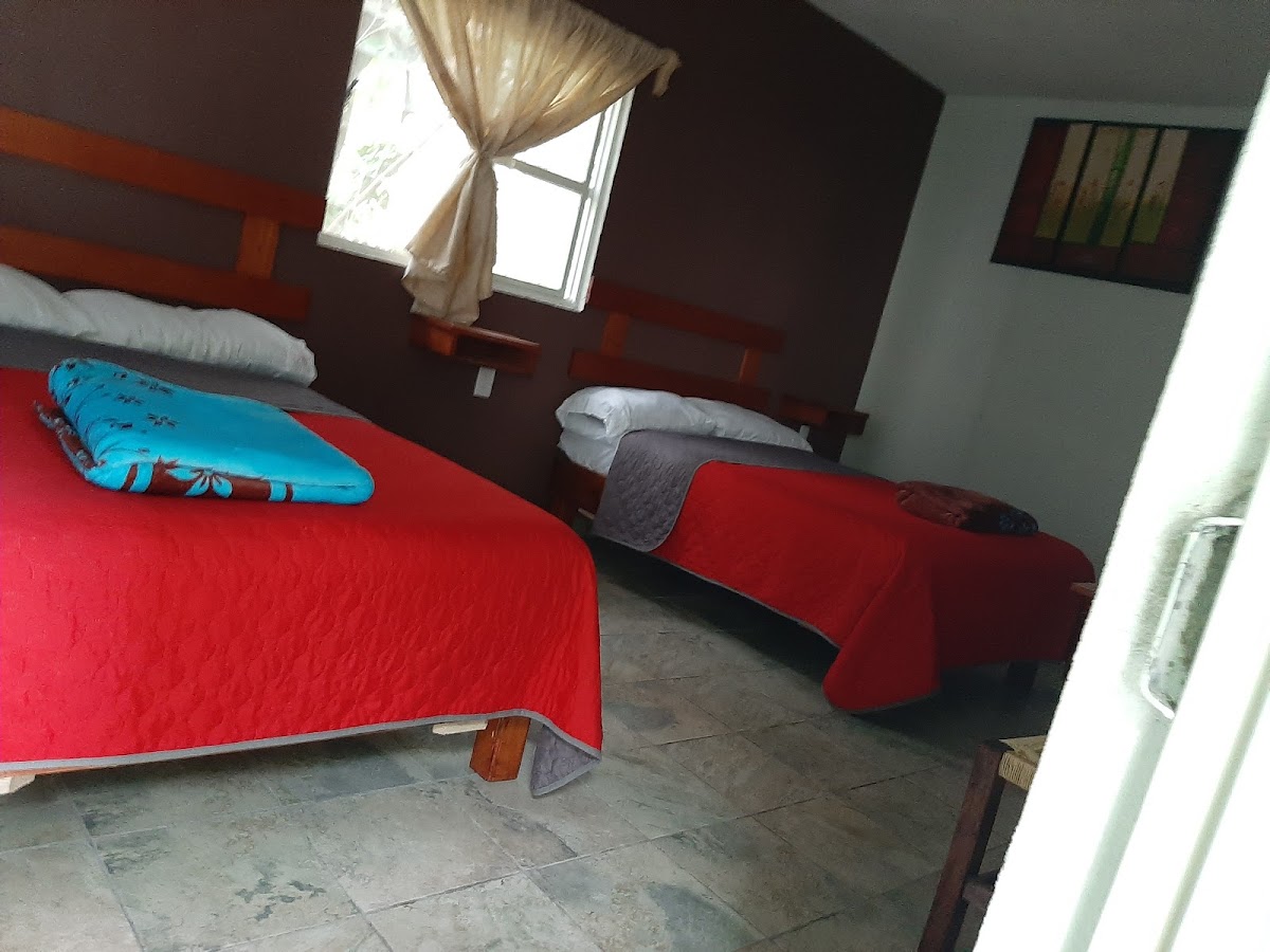 Room 5