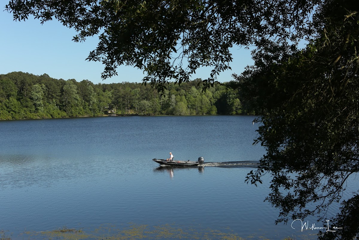 Lake Jeff Davis ca in rental