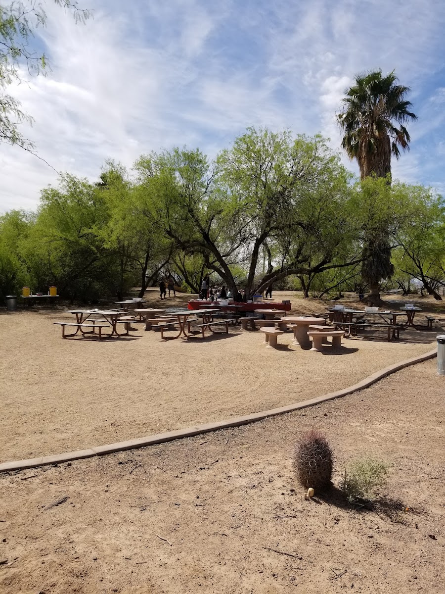 ​Mesquite Wildlife Oasis
