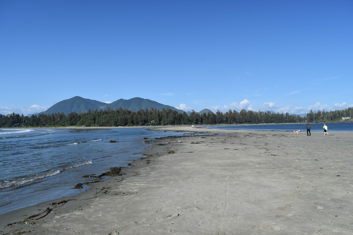 Chesterman Beach