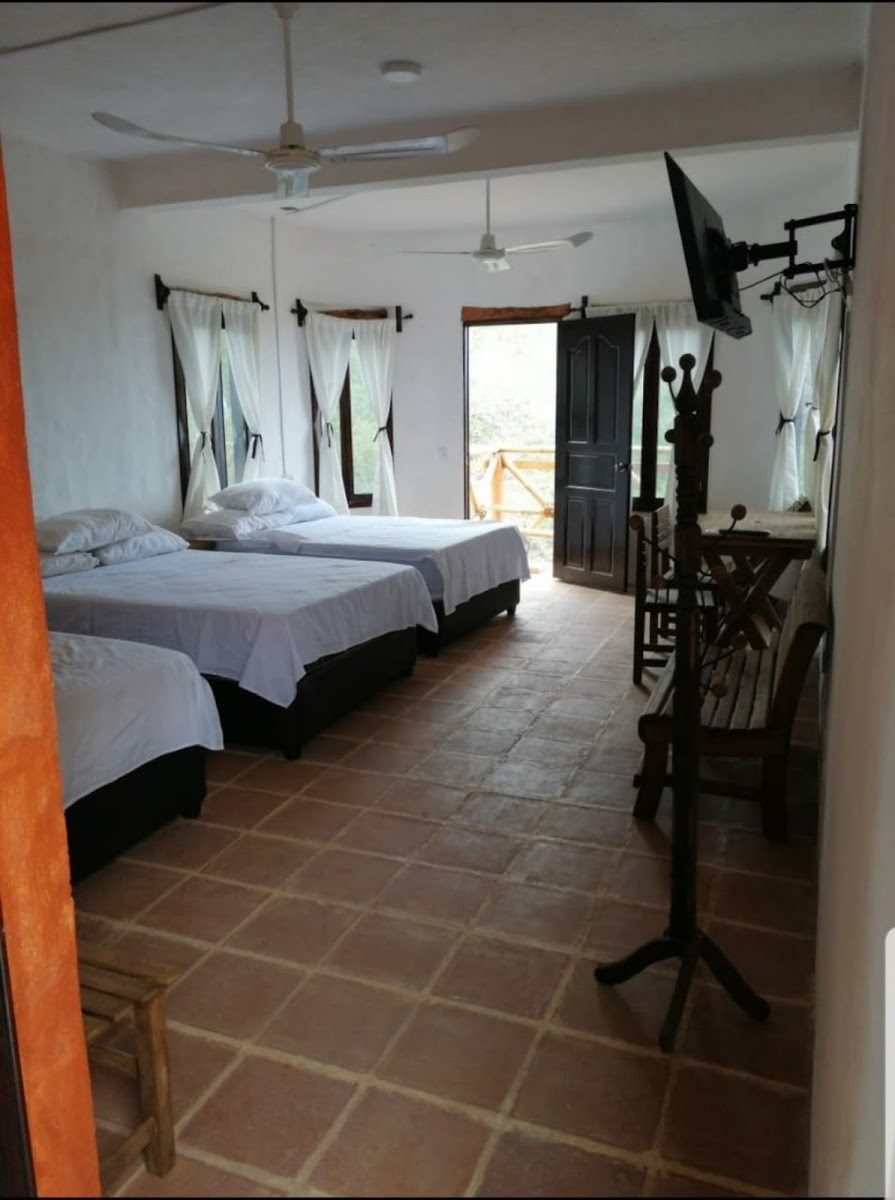 Room 5