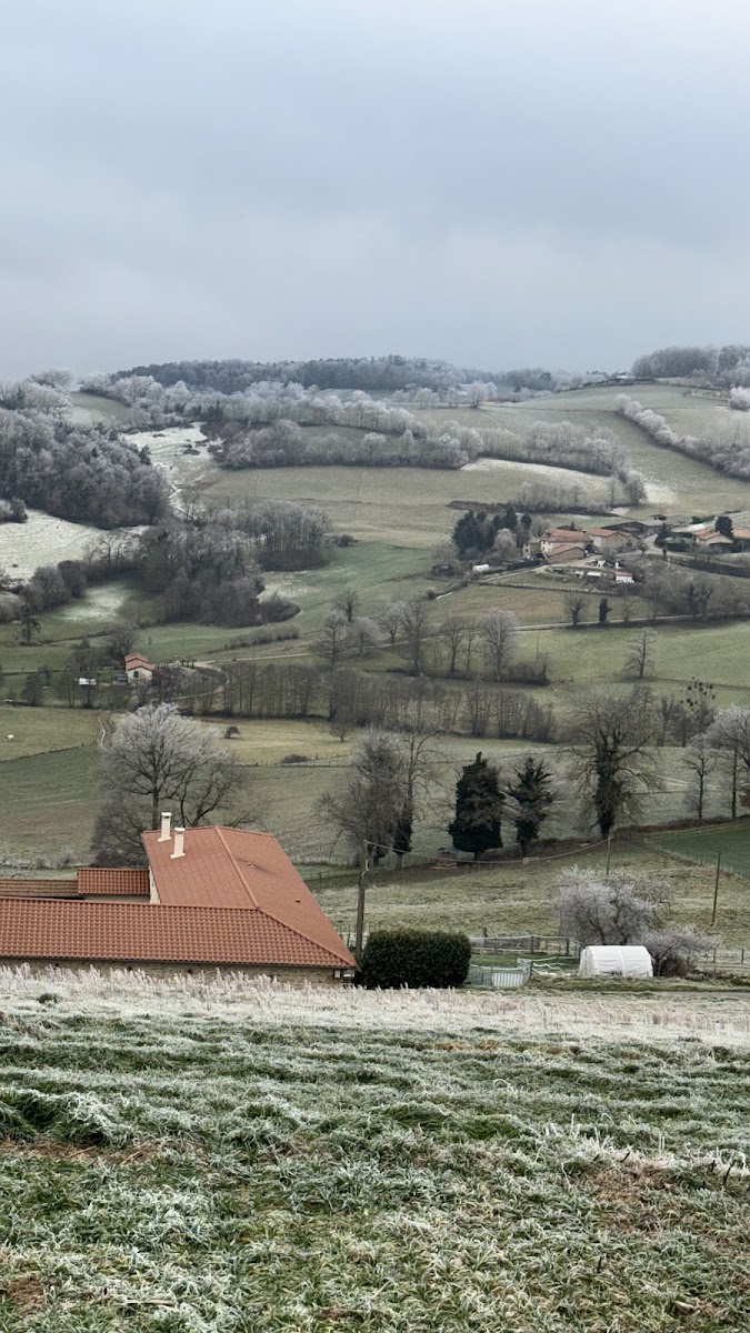 Monts du Lyonnais