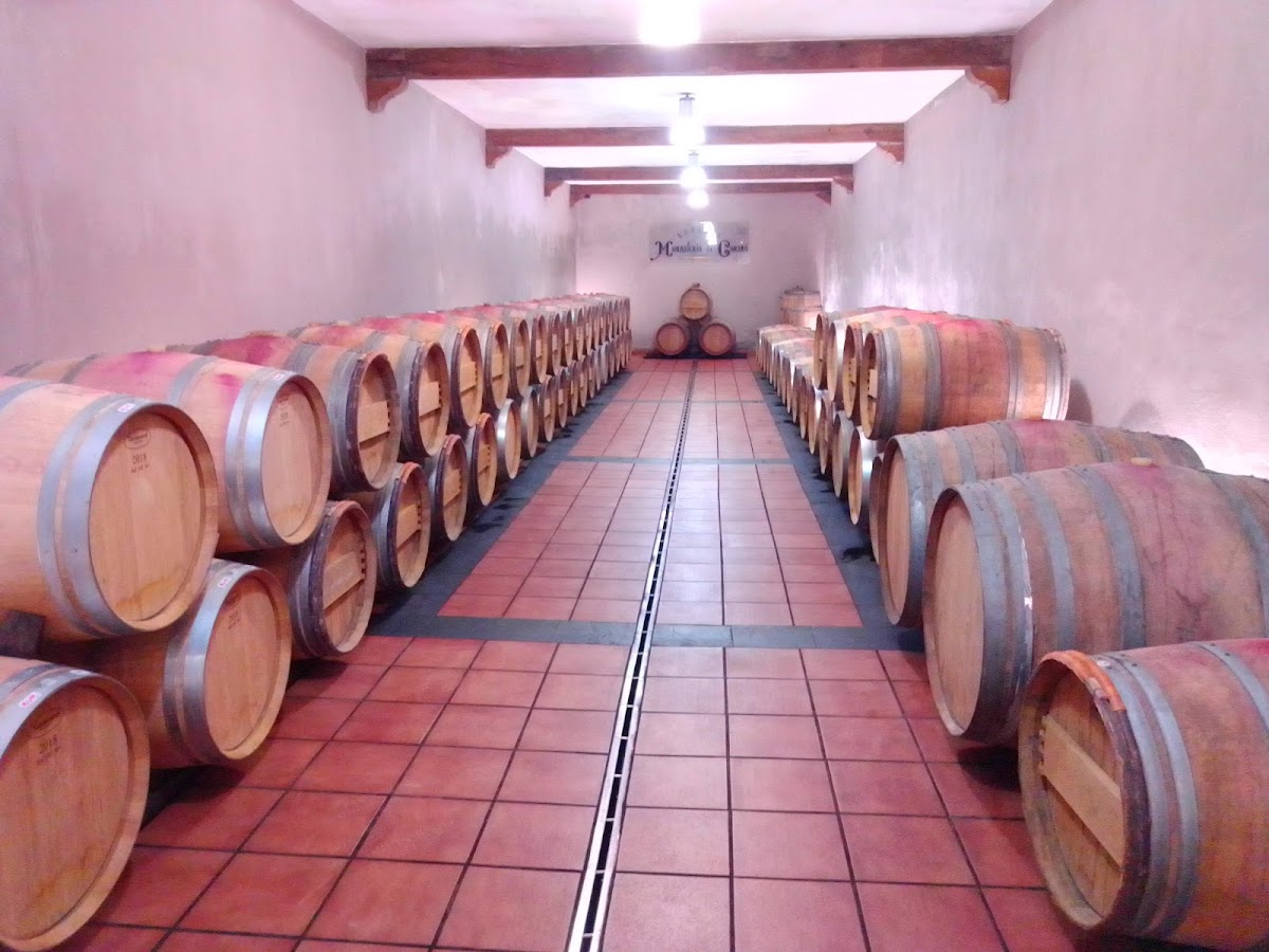 Bodega Monasterio de Corias